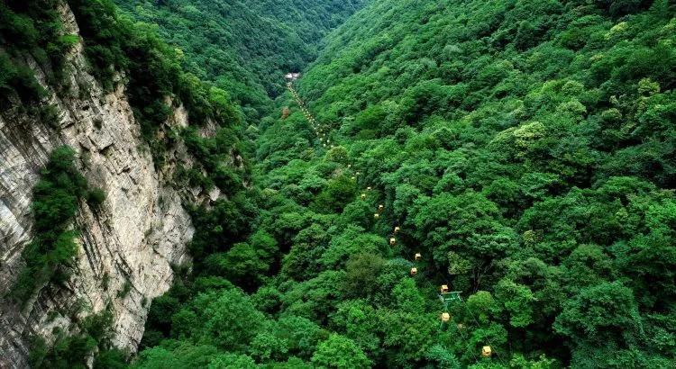 临沂艺考文化课学习:阳光总在风雨后!充满挑战和机遇的过程